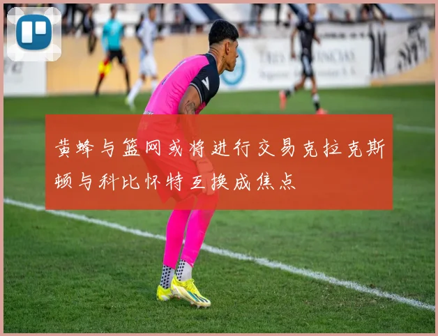 黄蜂与篮网或将进行交易克拉克斯顿与科比怀特互换成焦点