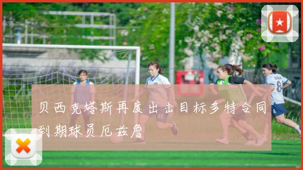 贝西克塔斯再度出击目标多特合同到期球员厄兹詹